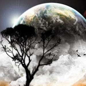 Meet your Posher, King